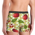 thumbnail image 5 of Kll Cherries And Ladybirds Men'S Cotton Boxer Briefs Underwear-Xx-Large, 5 of 9