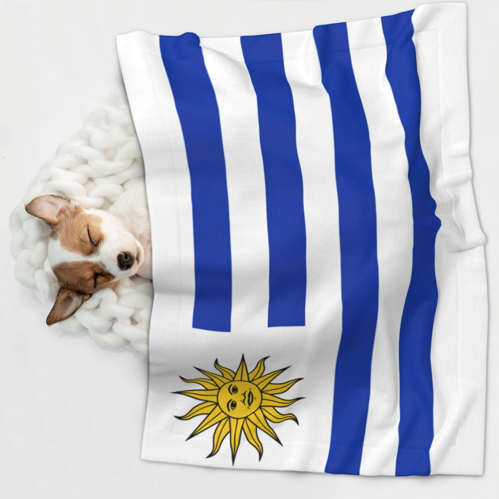 Uruguay Flag Dog Blanket Soft Warm Flannel Cat Blanket Great Pet Throw for Cats Puppy Small Medium Large Dog