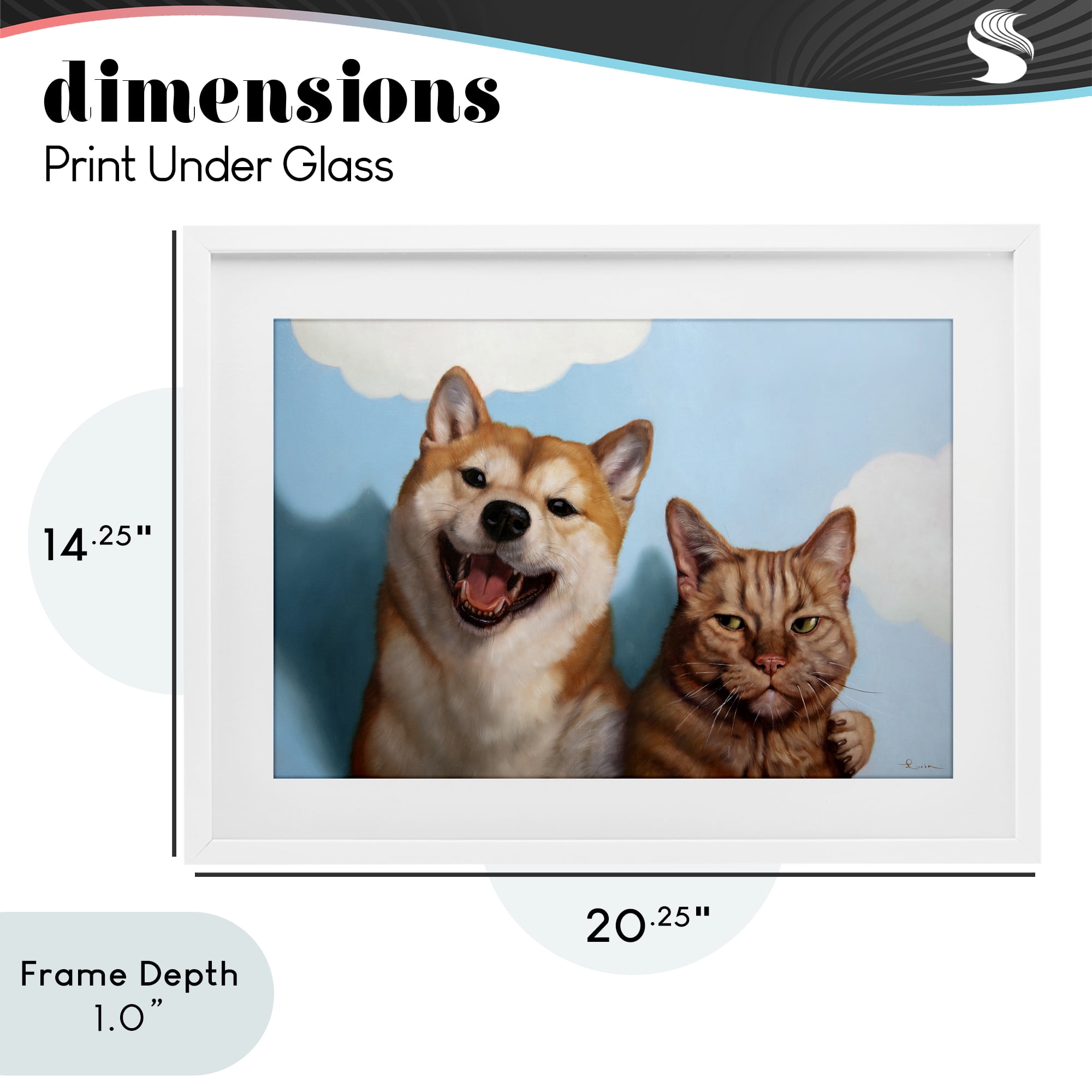 Stupell Industries Adopted Brother Dog & Cat White Framed Print Under Glass, design by Lucia Heffernan