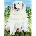 thumbnail image 1 of Carolines Treasures SS8866CHF 28 x 40 In. Great Pyrenees Flag Canvas- House Size, 1 of 4