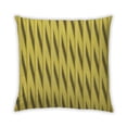 thumbnail image 1 of Ahgly Company Outdoor Square Contemporary Throw Pillow, 18 inch by 18 inch, 1 of 5