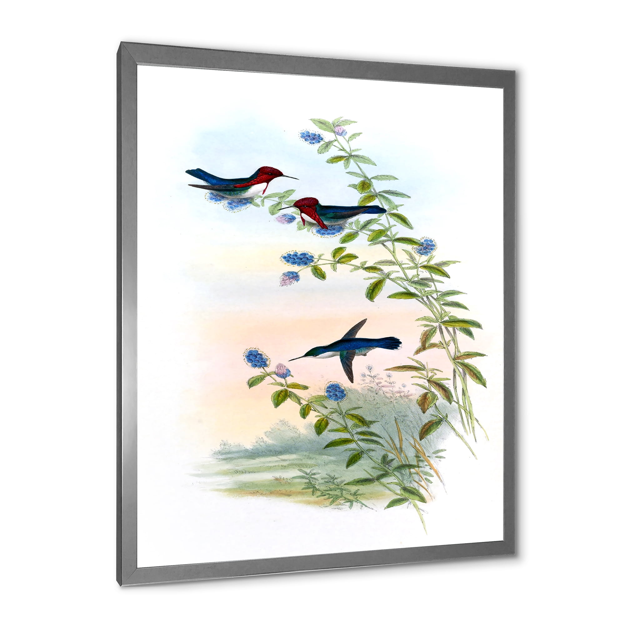 Designart 'Ancient Hummingbird II' Traditional Framed Art Print
