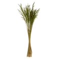 thumbnail image 1 of Vickerman H2CGR150-2 36-40 in. Green Congo Grass with 8 oz Bundle, 1 of 1