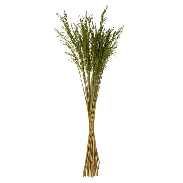 Vickerman H2CGR150-2 36-40 in. Green Congo Grass with 8 oz Bundle