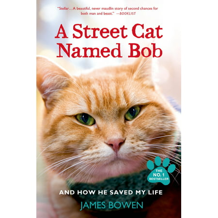A Street Cat Named Bob and How He Saved My Life
