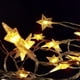 thumbnail image 2 of La secuencia al aire libre enciende la Navidad decorativa de la estrella llevada 20 de los 9.8ft con pilas, 2 of 4