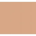thumbnail image 2 of Avon Flawless CREAM-TO-POWDER FOUNDATION Compact 9g, SPF 15 / 220G LIGHT NUDE, 2 of 11