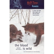 Wild Lives: Wild Lives Foxes : The Blood is Wild (Edition 1) (Paperback)