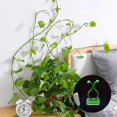 thumbnail image 2 of Clips de jardín para plantar verduras, Clip de cerezas, ganchos para plantar tomates, Luo verde trepa por la pared, enredaderas y plantas verdes, 2 of 4