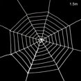 thumbnail image 2 of Bewildely SpiderWeb Halloween telaraña Terror fiesta decoración Bar casa embrujada Halloween arañas Web decoración de Halloween 1,5/2,5 m Kits de decoración para fiestas Blanco 1.5 m Bewildely HA007461-01B, 2 of 6