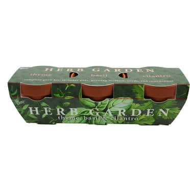 Buzzy 3-Pot Herb Garden Terracotta Grow Kit