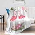 thumbnail image 3 of Flamingo Blanket Gifts - 60x50 Inches Aesthetic Throw Blanket for Women & Girls - White Soft Fuzzy Blankets for Bed, Couch & Travel, Gifts for Flamingo Lovers, 3 of 6