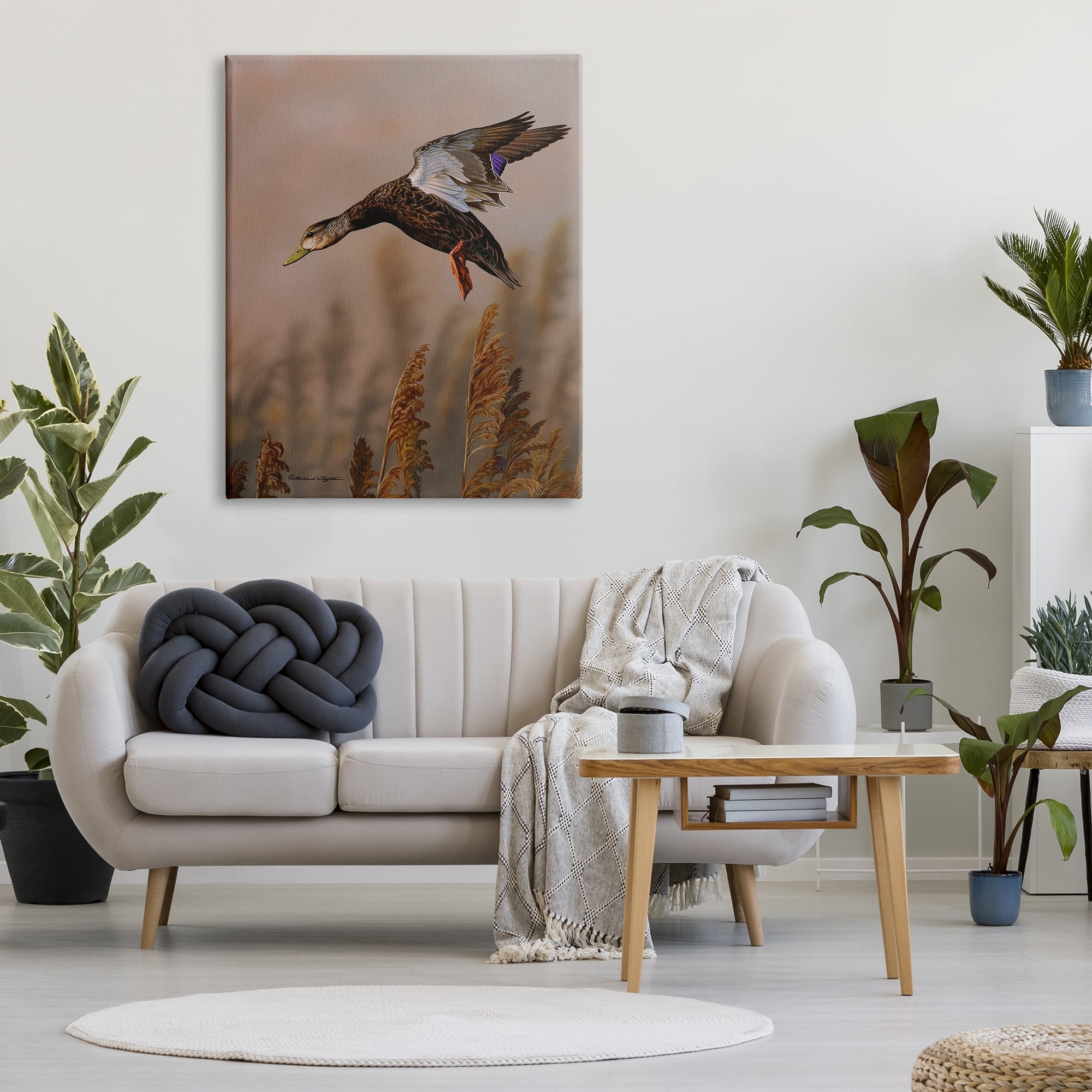 Stupell Industries Duck Flying Photography Animals & Insects Photography Gallery Wrapped Canvas Print Wall Art, 36 x 48