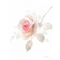 thumbnail image 2 of Nai, Danhui 25x32 Black Ornate Wood Framed with Double Matting Museum Art Print Titled - Gentle Rose II, 2 of 4