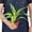 6_DRACAENA_LEMON.LIME, variant on Dracaena Lemon Lime - Live Air-Purifying Indoor Plant in Nursery Pot – Easy Care, Low Maintenance Houseplant for Home & Office Decor, Natural Air Cleaner, Best for Beginners (4"Pot)