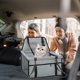 thumbnail image 5 of RKSTN Pets Travel Pack Car Bag Grey, 5 of 6