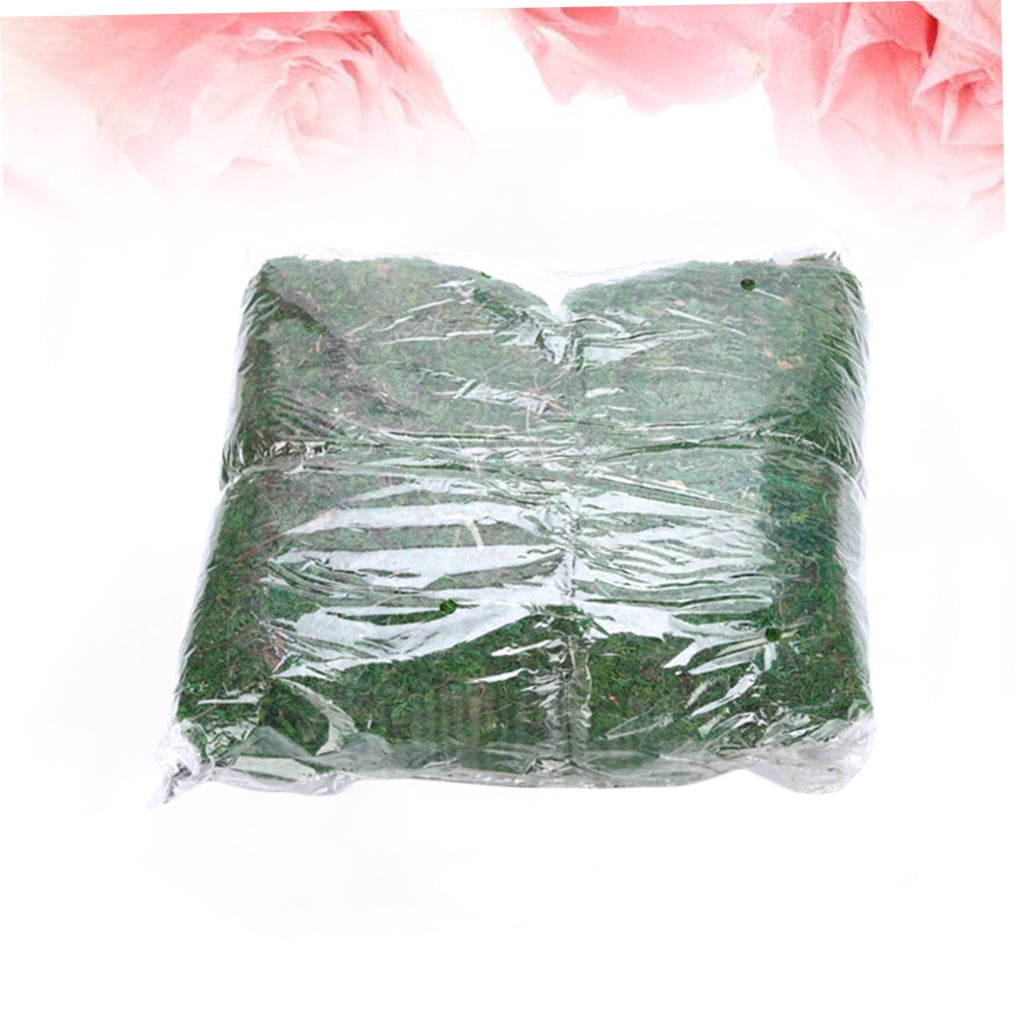 FRCOLOR Artificial Moss Craft Artificial Moss Lichen Green Synthetic Material 1Pack Relieve Eye Fatigue Kitchen