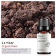 thumbnail image 4 of Fiudx Aceite de Mirra, Aceite Hidratante Natural, Esencial Nutritivo para El Cuidado de La Piel, Calmante para La Piel, Uso En Aromaterapia, para Todo Tipo de Piel, Frasco de 10 Ml, 4 of 6