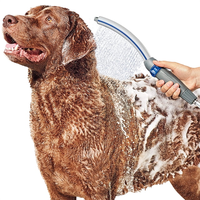 Accesorio de ducha para perros Pro para un baño y limpieza rápidos y fáciles para perros, rociador para interiores y exteriores, incluye manguera flexible de 8 pies