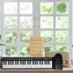 thumbnail image 4 of NEW Piano keyboardist electronic out digital roll pad foldable electric piano can be rolled, 4 of 5