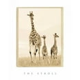 thumbnail image 3 of Parker, Susann 15x18 Black Modern Framed Museum Art Print Titled - The Stroll, 3 of 5