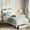 Off White, variant on Kojooin Modern Twin Bed Frame with Storage: Velvet Upholstered Platform with Bookcase Headboard and Spacious Under-Bed Drawer