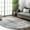 Deedra Grey, variant on nuLOOM Misty Shades Deedra Runner Rug, 2' 6" x 10', Gray