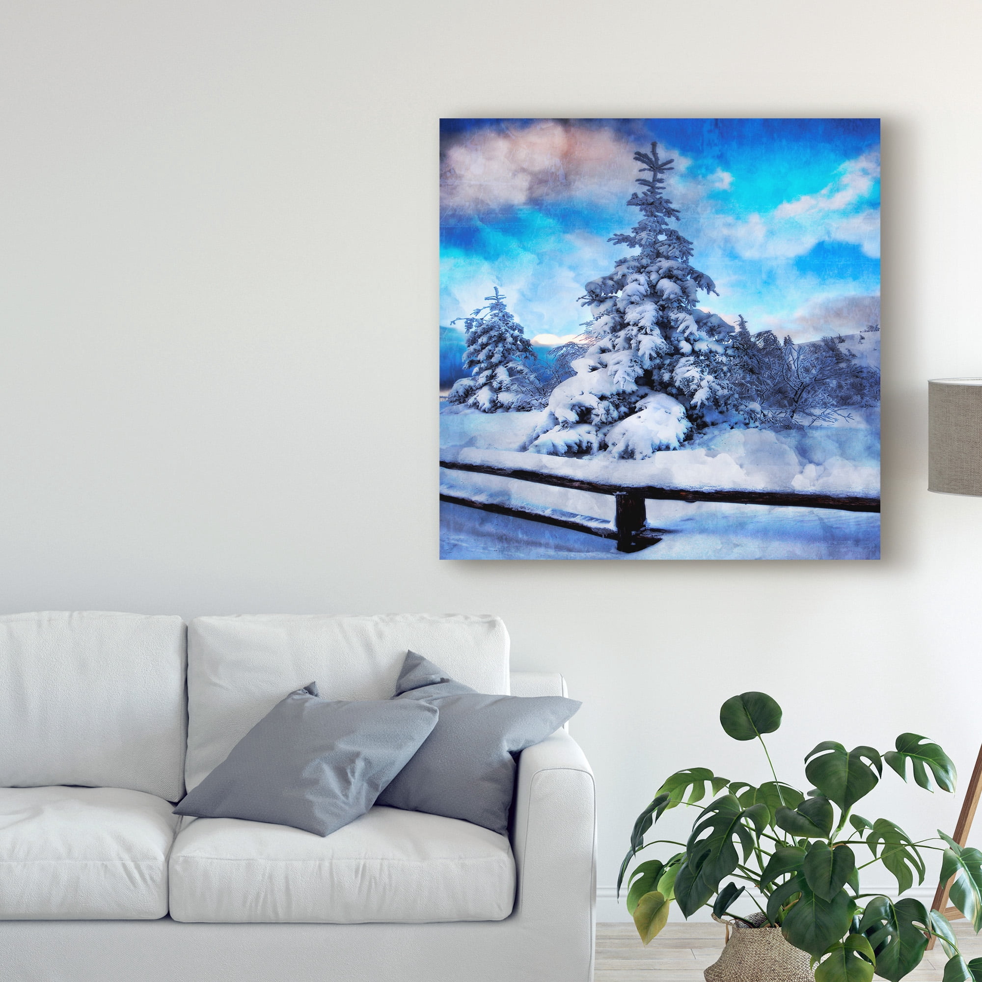 Trademark Fine Art 'My Beautiful Fir Tree' Canvas Art by Philippe Sainte-Laudy