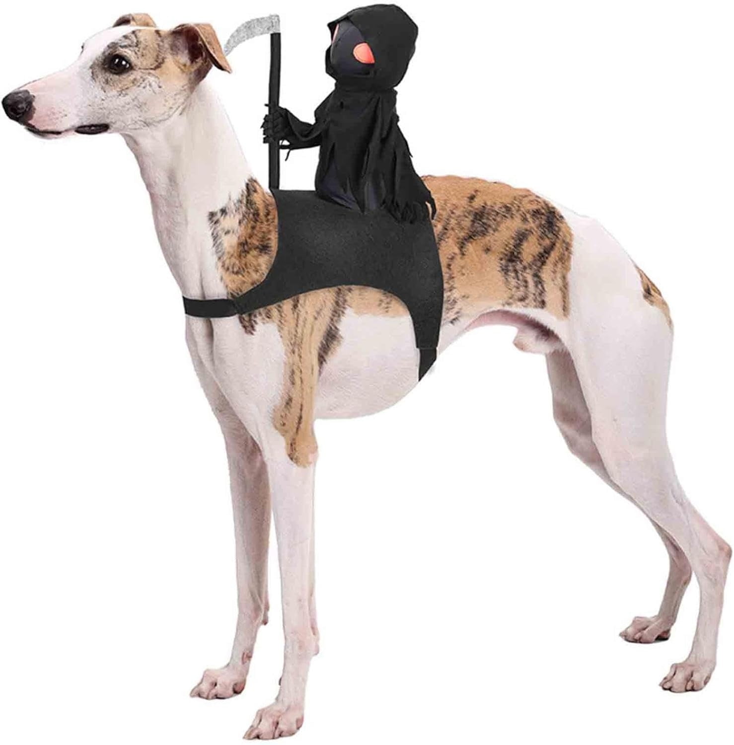 Batman Dark Knight Superhero Hero DC Comics Dog Pet Costumes Size