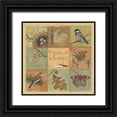 thumbnail image 1 of Phillips, Anita 20x20 Black Ornate Wood Framed with Double Matting Museum Art Print Titled - Birds of a Feather, 1 of 4