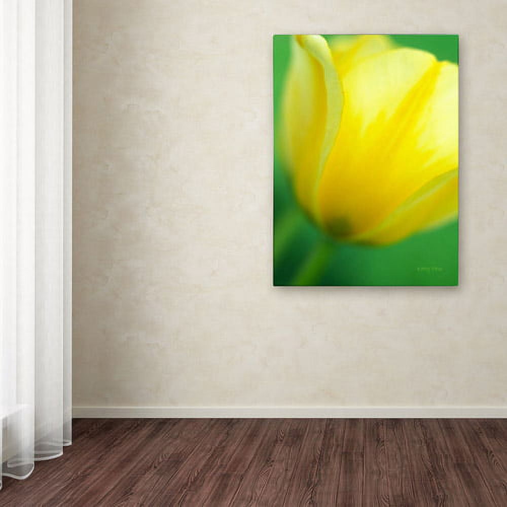 Trademark Fine Art "Hint of a Tulip" Canvas Art by Kathy Yates