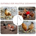 thumbnail image 3 of OULII Herramienta De Gancho Para Captura Rápida Y De Pollos En Granjas, 3 of 8