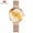 Rose Gold, variant on MINI FOCUS Women Watches Waterproof Top Brand Luxury Fashion Casual Ladies Watch Quartz Stainless Steel Reloj Mujer Montre Femme