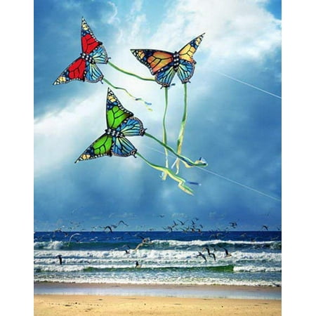Image of ABPHOTO Polyester Beach Sea Butterfly Kite Photography Backdrops Photo Props Studio Background 5x7ft