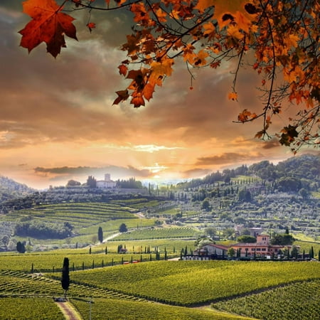 Chianti Vineyard Landscape in Tuscany, Italy Print Wall Art By