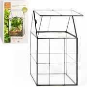 DEco Glass Geometric DIY Terrarium for Succulent & Air Plant- Hinged Roof Shaped for Indoor Gardening Decor- Create your own Flower, Fern, Moss Centerpiece (Large 5x6x11)