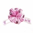 thumbnail image 3 of PEIBang 20 Pcs Christmas Gift Bows,Organza Ribbon for Holiday Wedding Birthday Party Decorations, 3 of 4