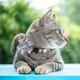 thumbnail image 4 of Detachable Flower Cat Collar With Bell (blue) - Bell Cat Collar, Sunflower Cat Collar, Pet Collar Accessory, Adjustable, Suitable For Cats And Puppies, 4 of 5