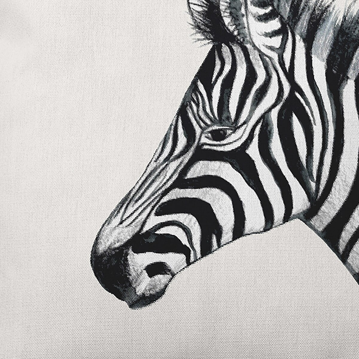 Simply Daisy Zebra Outdoor Pillow, Off-White/Black, 20 in x 20 in
