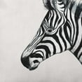 thumbnail image 2 of Simply Daisy Zebra Outdoor Pillow, Off-White, 18 in x 18 in, 2 of 5