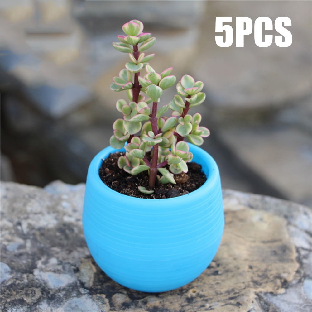 5 Pcs Mini Plastic Flower Pot Succulent Plant Flowerpot For Home Office Decor