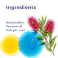 thumbnail image 6 of Pimple Patches for Face (240 Patches), Hydrocolloid Acne Patches with Tea Tree Oil & Salicylic Acid, Pimple Patch Pimple Stickers, Hydrocolloid Patch Acne Dots Acne Pimple Patches For Face, 6 of 7