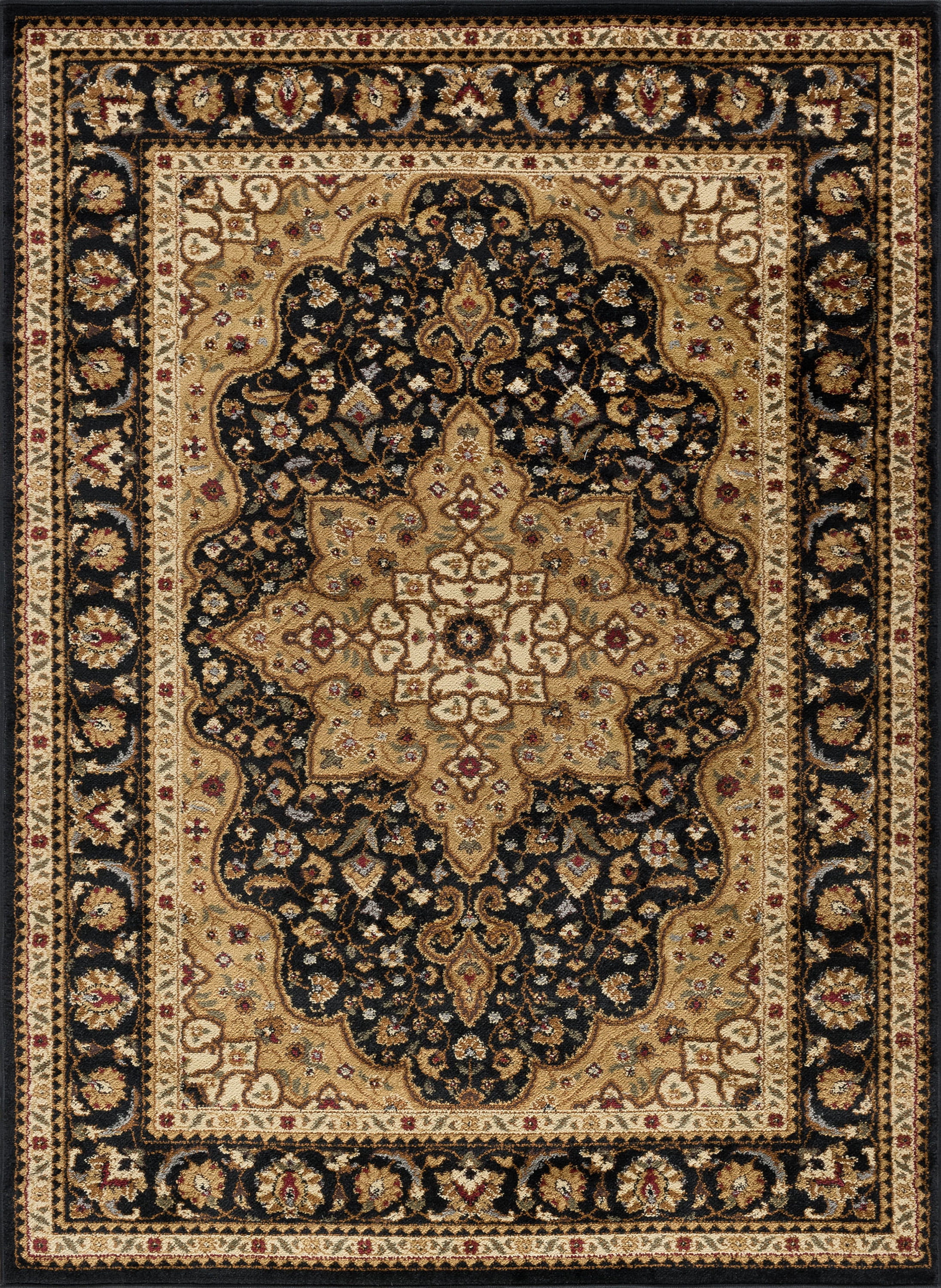 Traditional 5x7 Area Rug (5' x 7') Oriental Black, Gold Living Room Easy to Clean