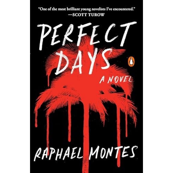 Pre-Owned Perfect Days, (Paperback)
