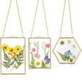 thumbnail image 4 of 3 Packs Pressed Flowers Glass Frames- Golden Hanging Picture Frames with Chain Floating DIY Artwork Display, 4 of 7