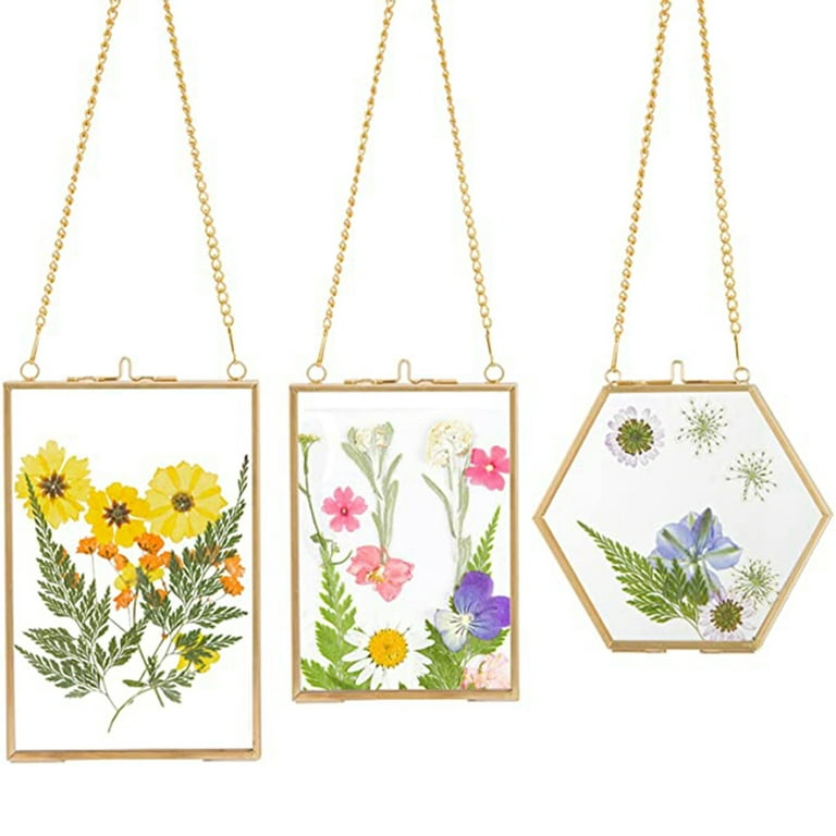 3 Packs Pressed Flowers Glass Frames- Golden Hanging Glass Picture Frames  With Chain Floating DIY Artwork Display Frames