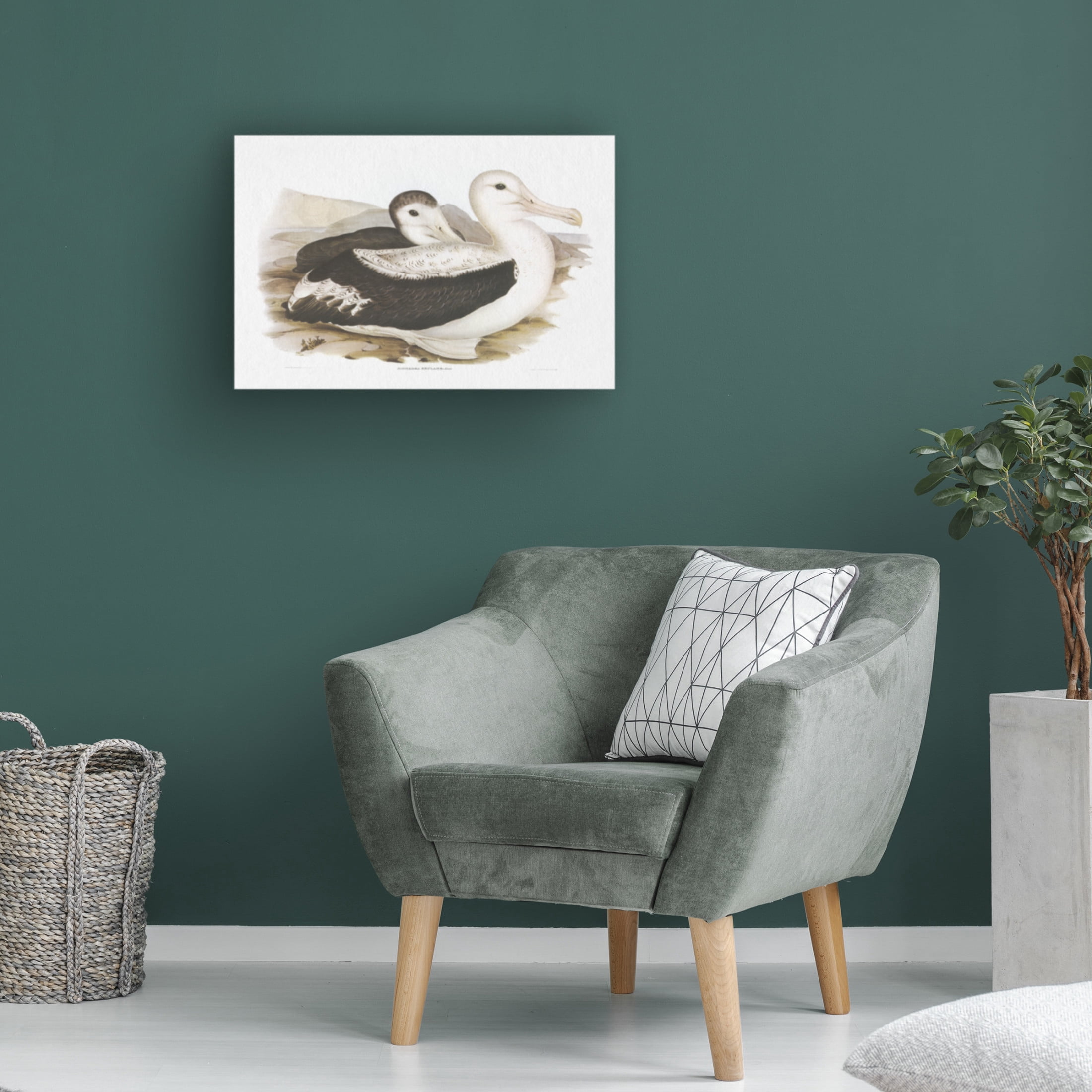Trademark Fine Art Elizabeth Gould  Seabird Pairing III Canvas Wall Art