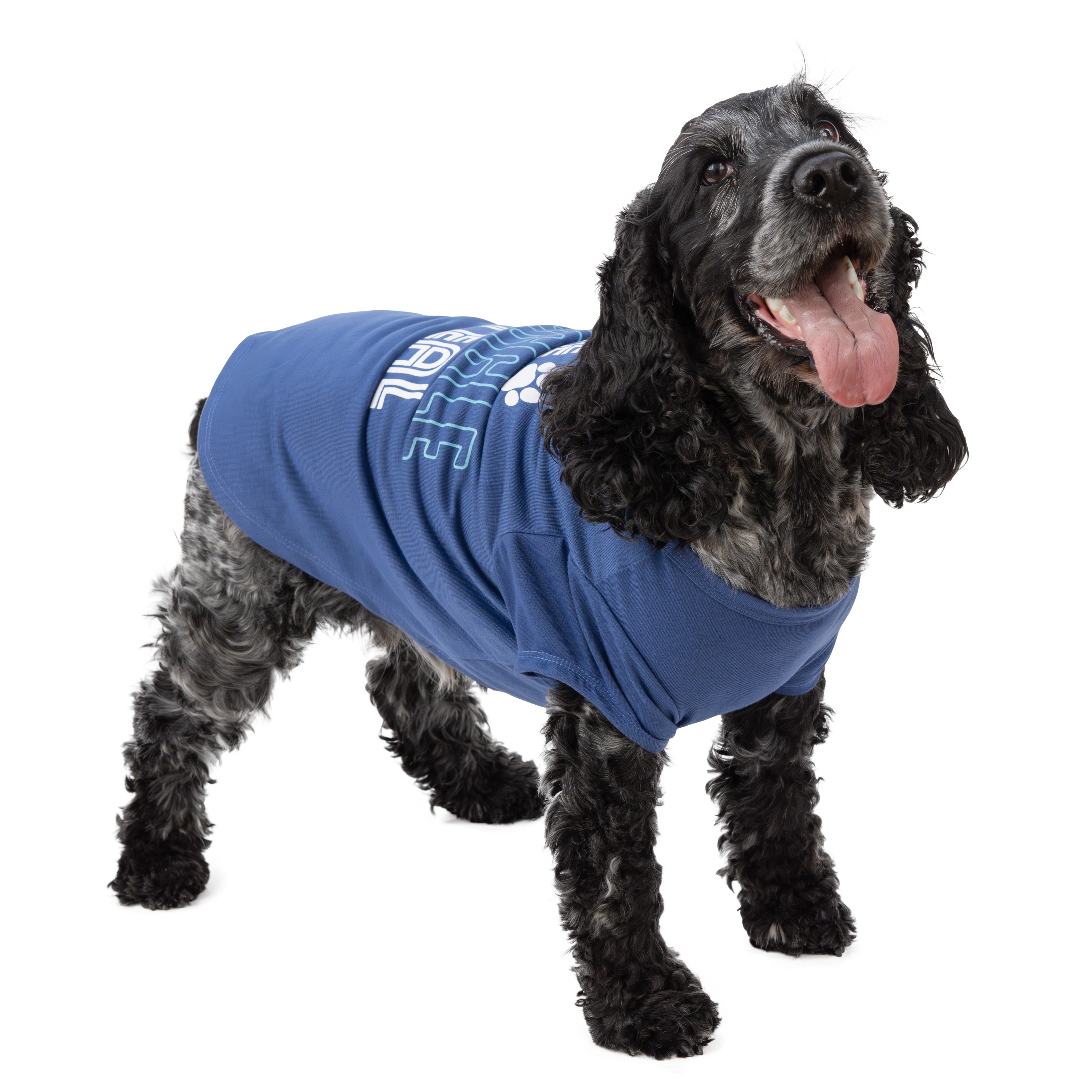 Vibrant Life The Snuggle Is Real Dog T-Shirt, Blue, Medium
