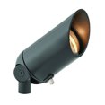 thumbnail image 1 of LED Landscape Accent Spot, 1 of 1