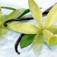 thumbnail image 3 of Yves Rocher Mist Cuerpo y Cabello Vainilla y otros aromas sensuales Spray Corporal 1E+2 ml Vegano, 3 of 4